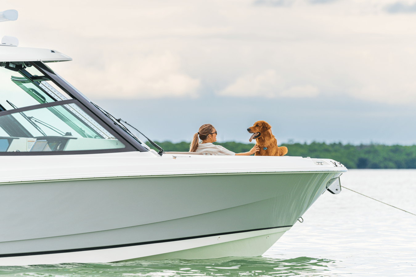 2027 Boston Whaler 330 Vantage 28