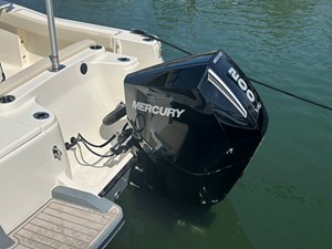 2026 Scout 220 XSF 13