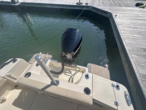 2026 Scout 220 XSF 14