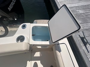 2026 Scout 220 XSF 17
