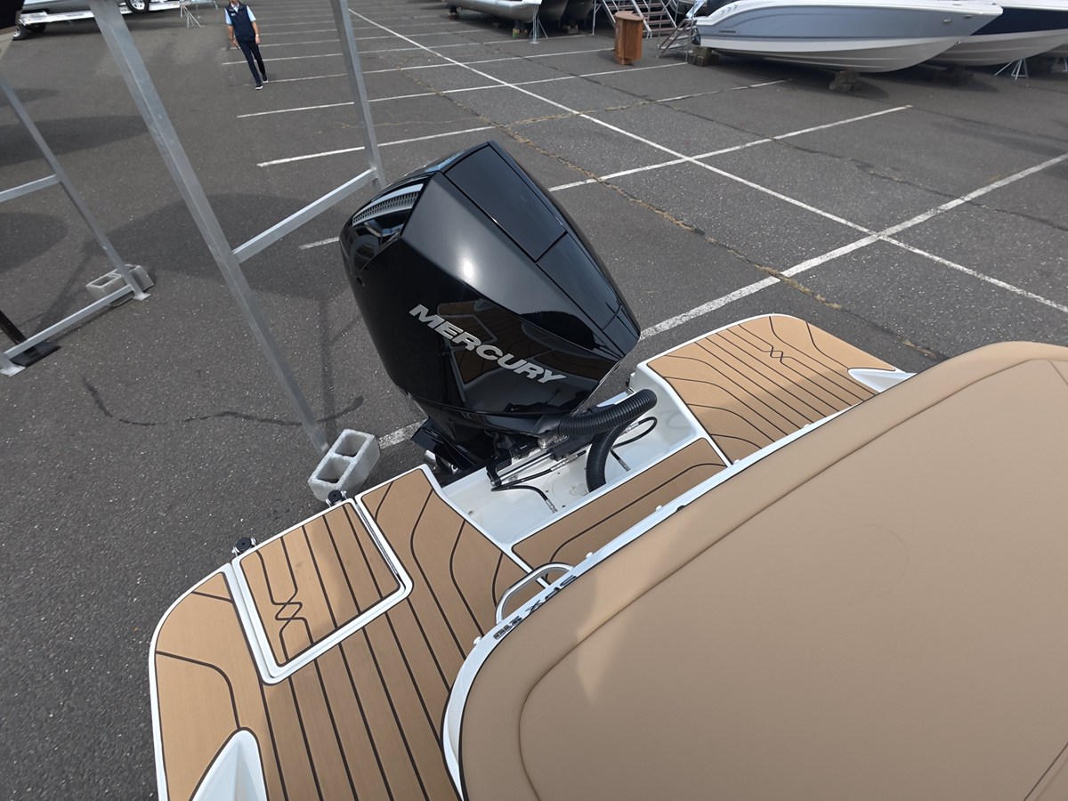 2027 Sea Ray SPX 210 Outboard 4