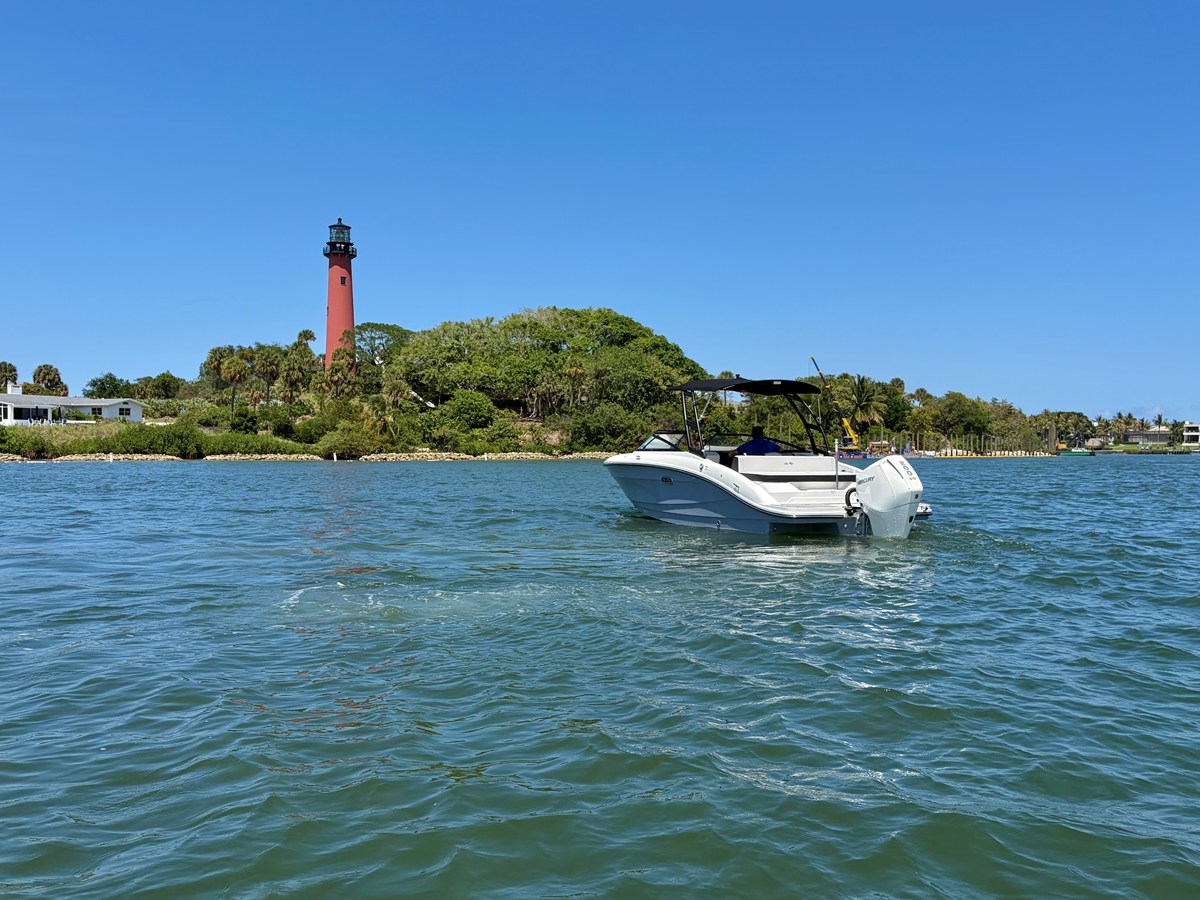 2026 Sea Ray SPX 210 Outboard 5