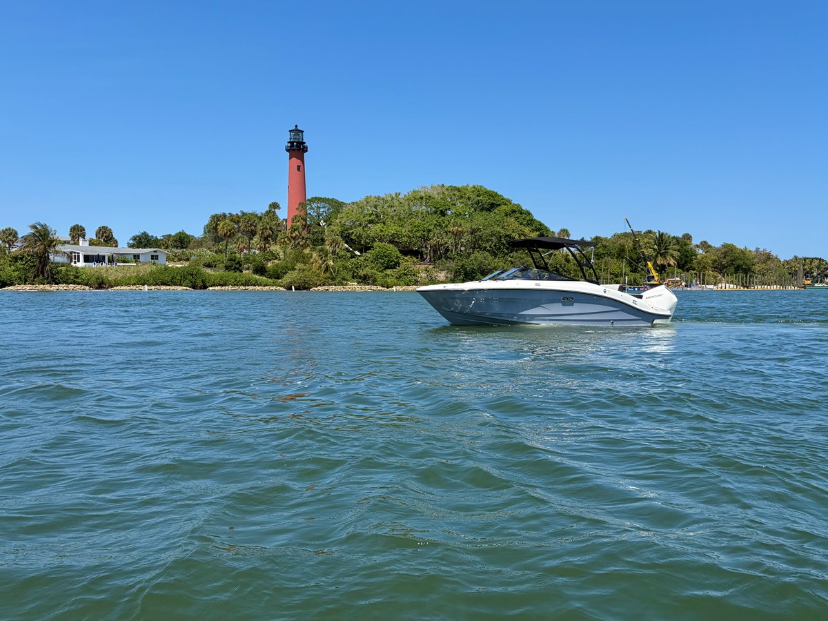 2026 Sea Ray SPX 210 Outboard 7