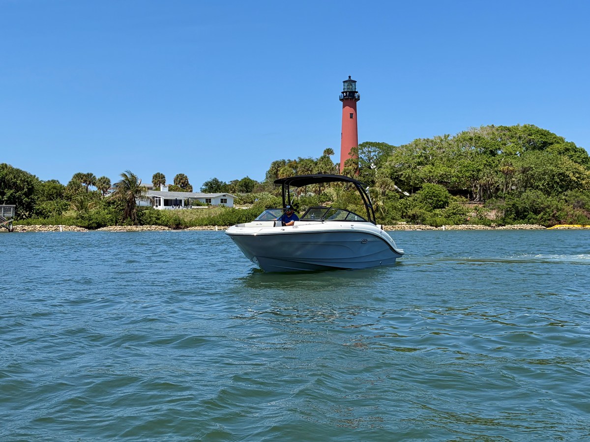 2026 Sea Ray SPX 210 Outboard 8