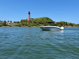 Sea Ray SPX 210 Outboard 5 2026 Sea Ray SPX 210 Outboard 6