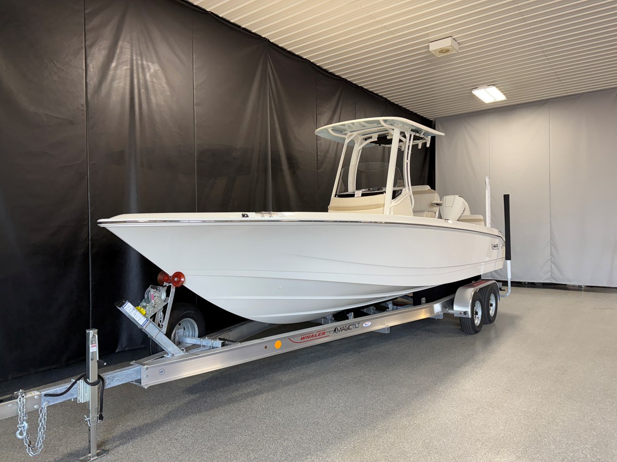 2026 Boston Whaler 250 Dauntless 4
