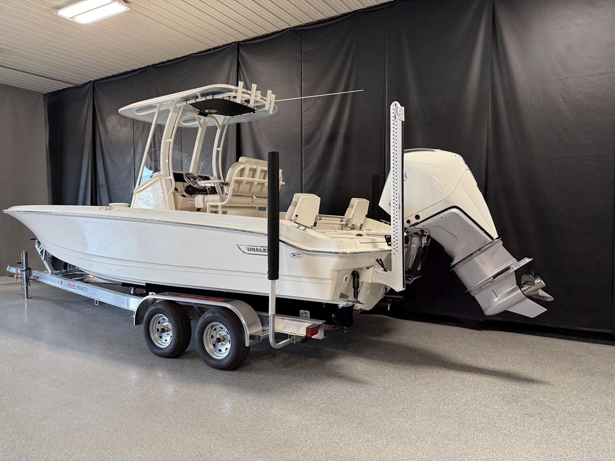 2026 Boston Whaler 250 Dauntless 5