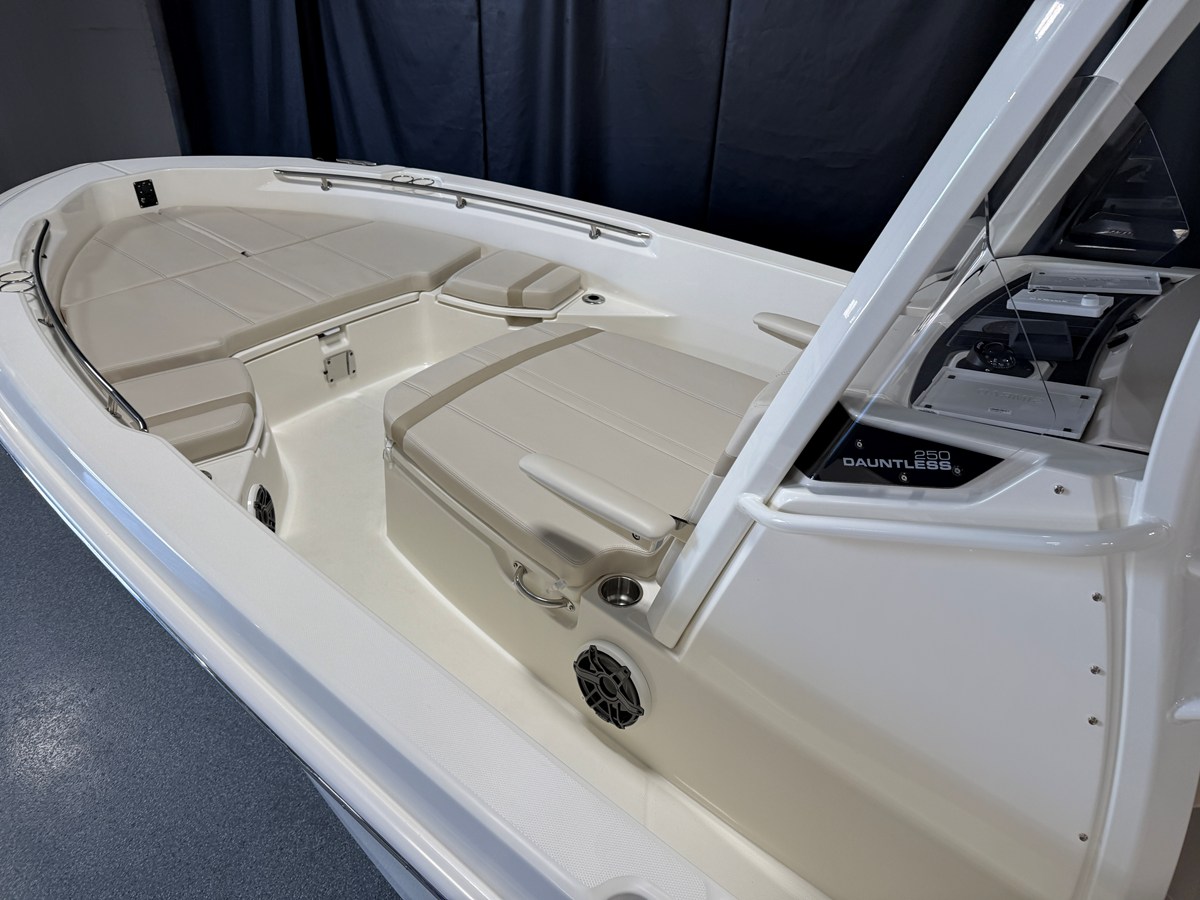 2026 Boston Whaler 250 Dauntless 8