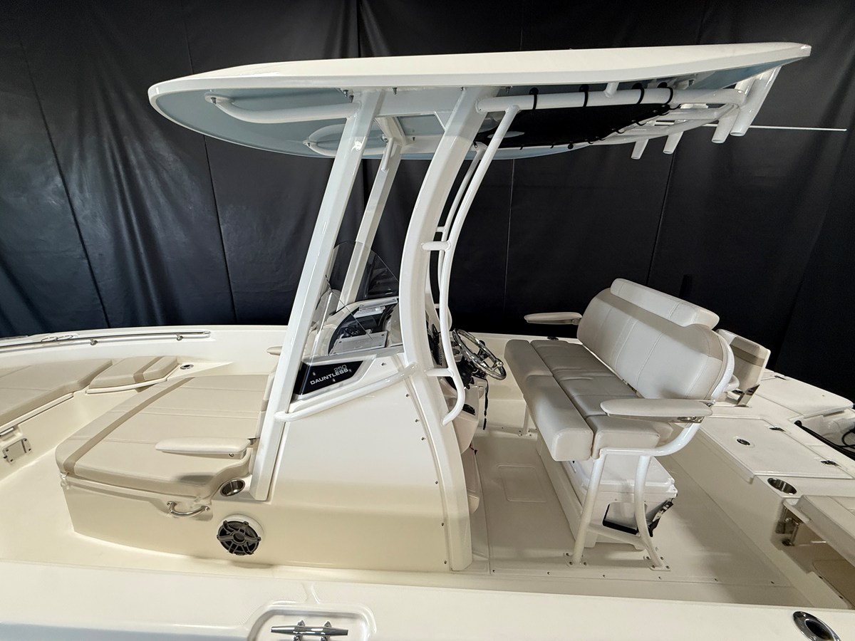 2026 Boston Whaler 250 Dauntless 9