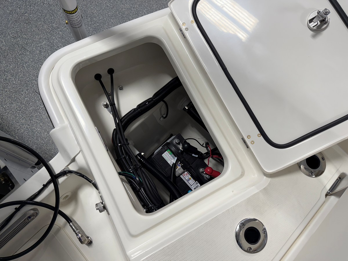 2026 Boston Whaler 250 Dauntless 23