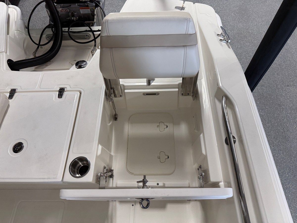 2026 Boston Whaler 250 Dauntless 27