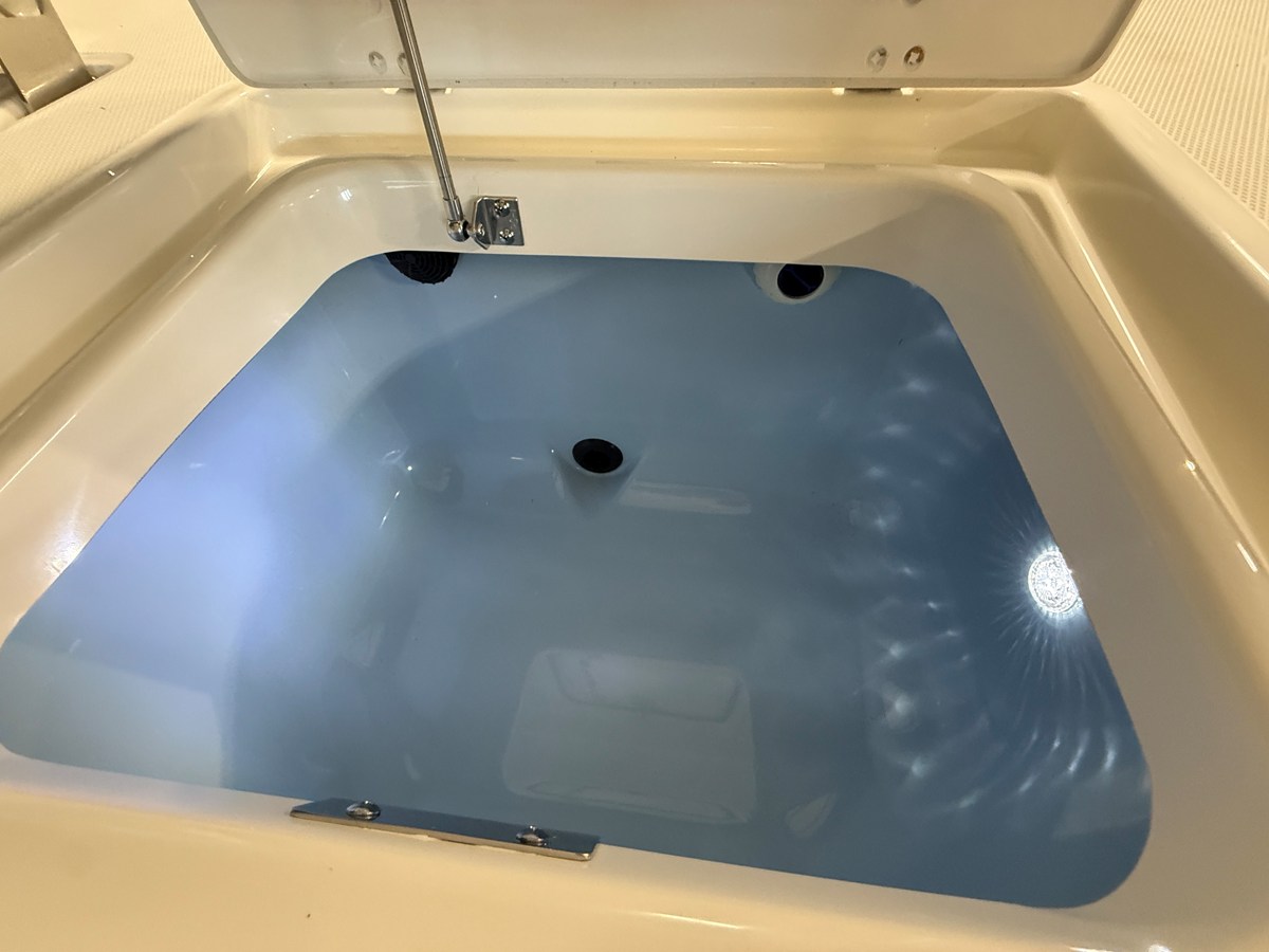 2026 Boston Whaler 250 Dauntless 34