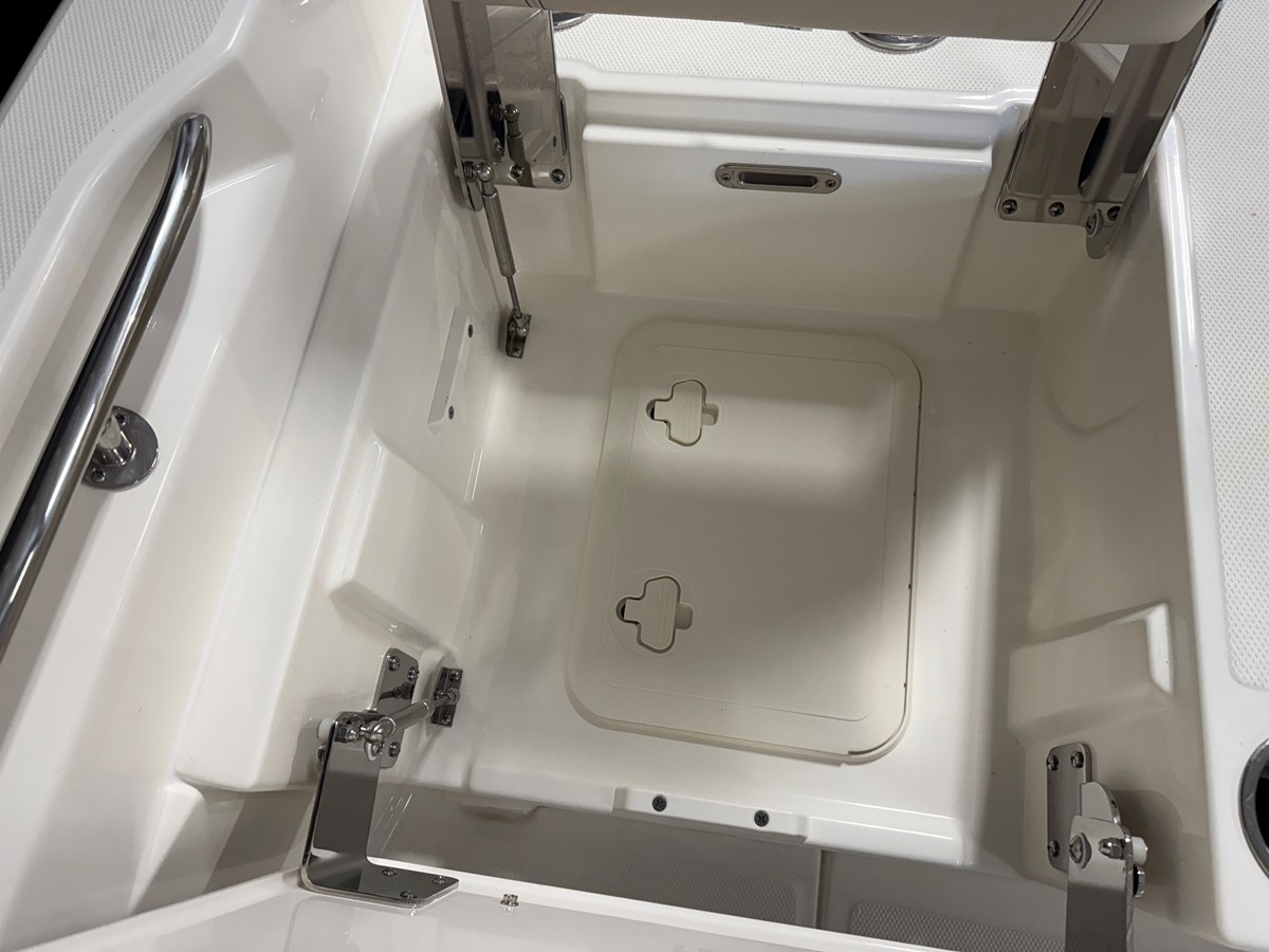 2026 Boston Whaler 250 Dauntless 37