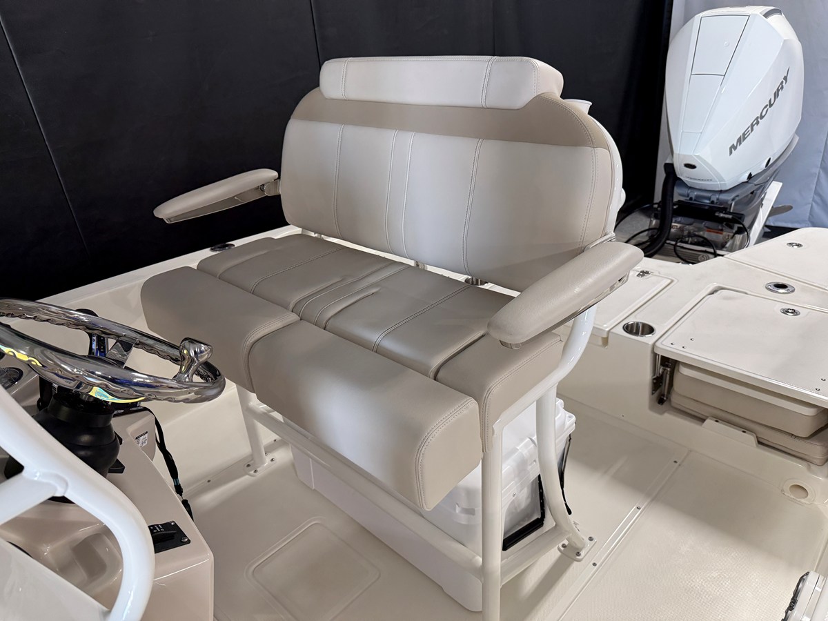 2026 Boston Whaler 250 Dauntless 46