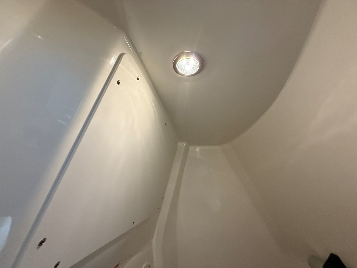 2026 Boston Whaler 250 Dauntless 79