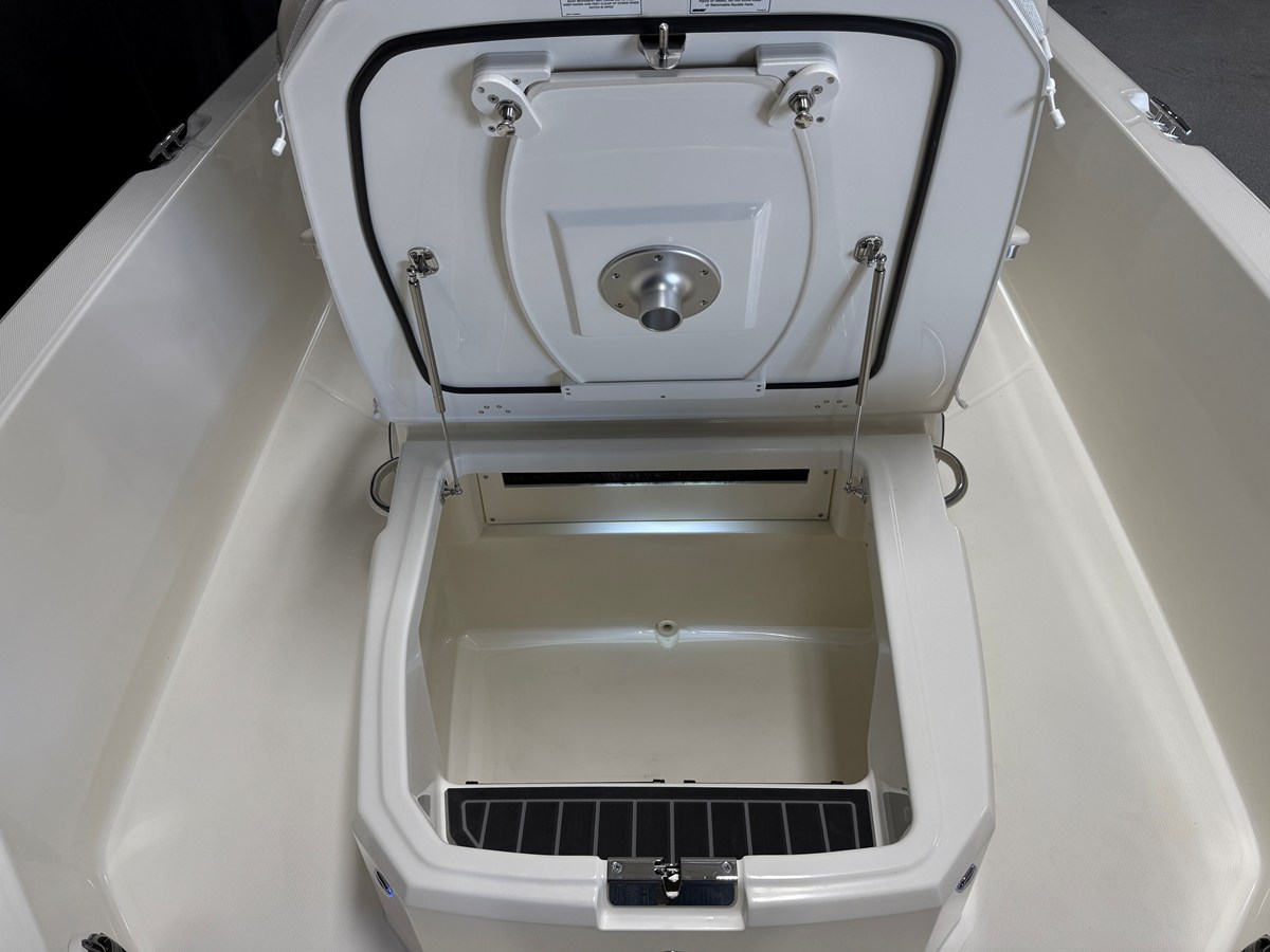 2026 Boston Whaler 250 Dauntless 88