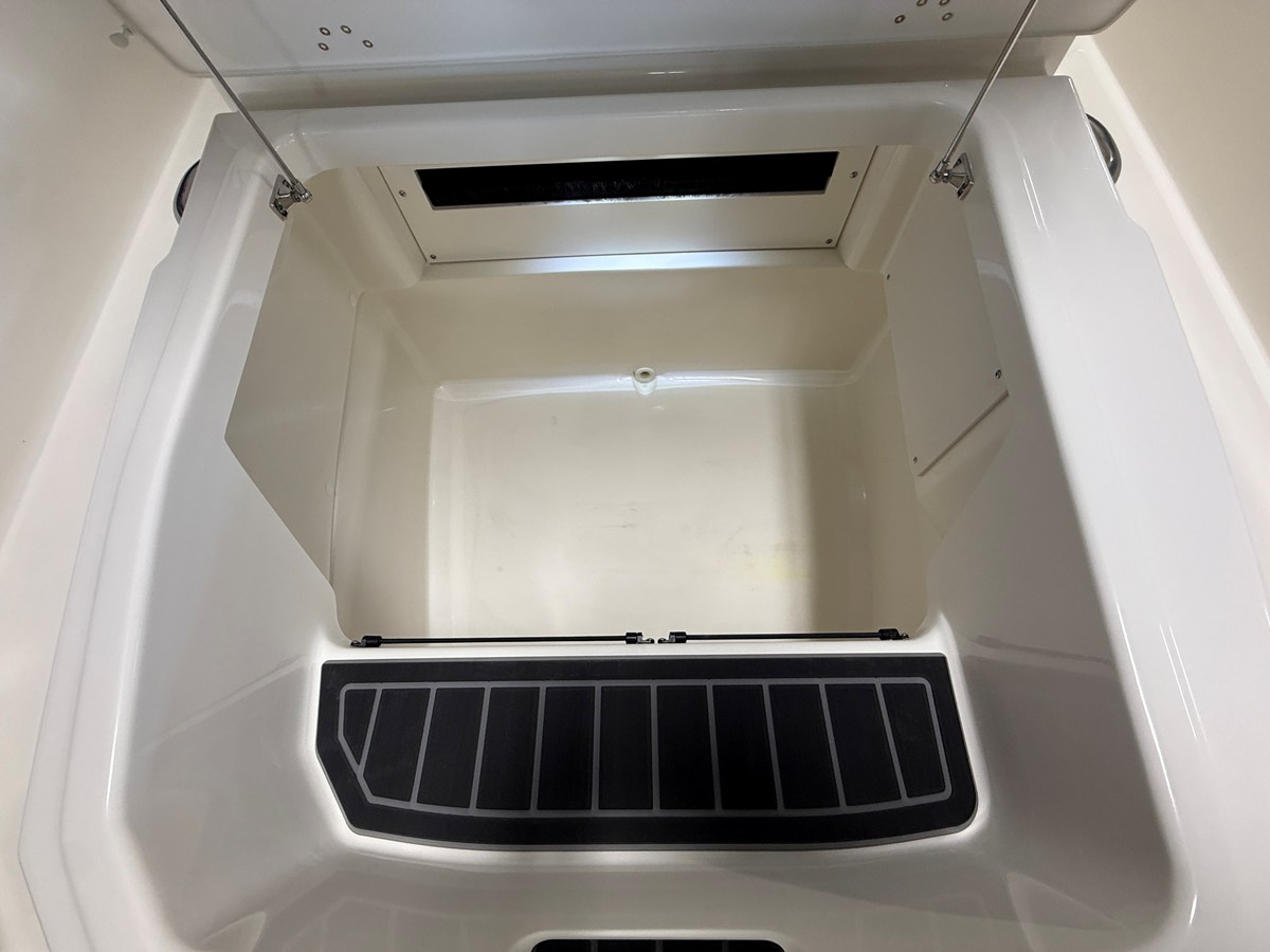 2026 Boston Whaler 250 Dauntless 90
