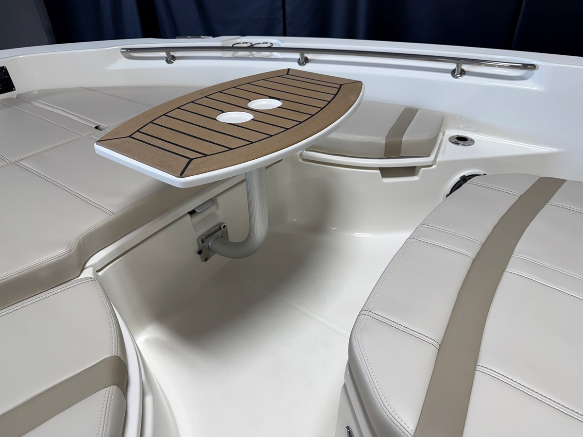 2026 Boston Whaler 250 Dauntless 91