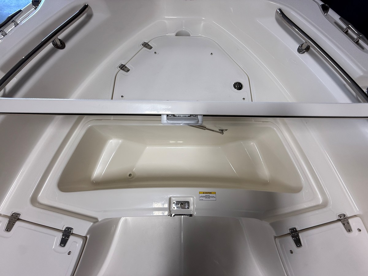 2026 Boston Whaler 250 Dauntless 101