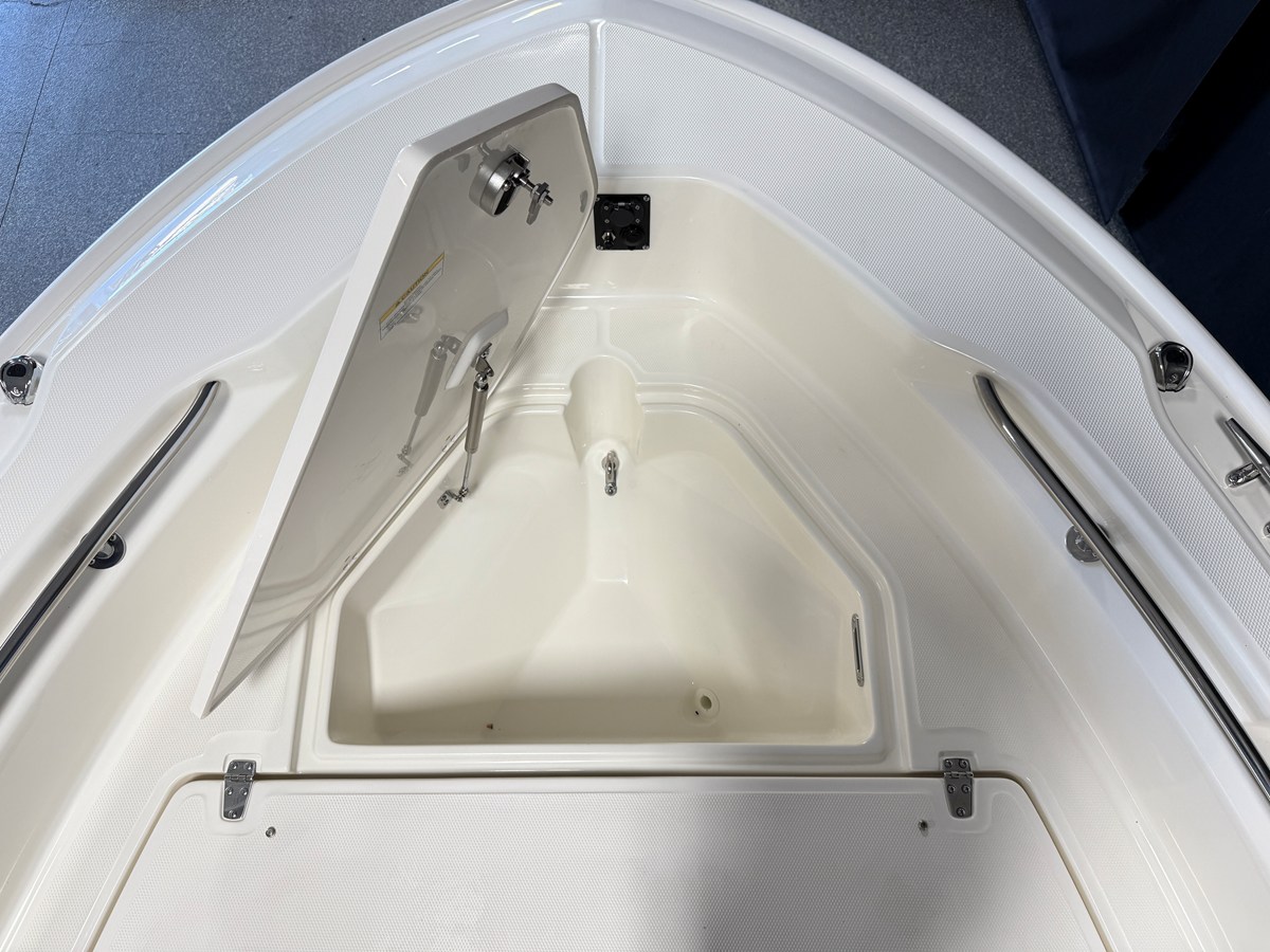 2026 Boston Whaler 250 Dauntless 102