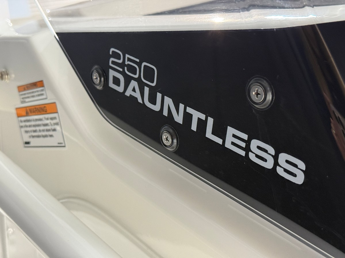 2026 Boston Whaler 250 Dauntless 106
