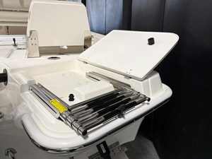 2026 Boston Whaler 250 Dauntless 19