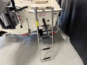 2026 Boston Whaler 250 Dauntless 21