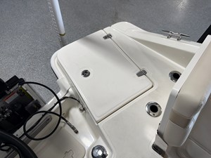 2026 Boston Whaler 250 Dauntless 22