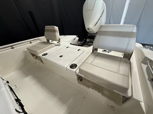 2026 Boston Whaler 250 Dauntless 26