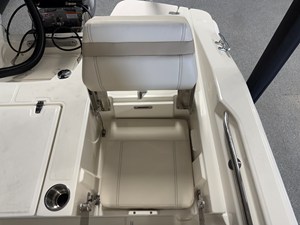 2026 Boston Whaler 250 Dauntless 29