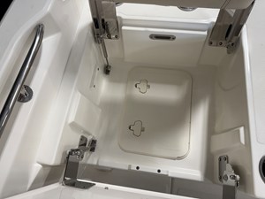 2026 Boston Whaler 250 Dauntless 37