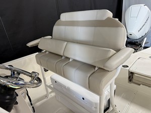 2026 Boston Whaler 250 Dauntless 49