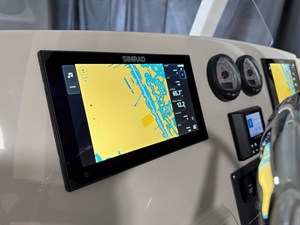 2026 Boston Whaler 250 Dauntless 54