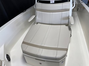 2026 Boston Whaler 250 Dauntless 84