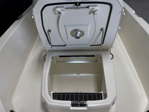2026 Boston Whaler 250 Dauntless 88