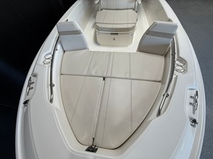 2026 Boston Whaler 250 Dauntless 99