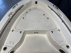 2026 Boston Whaler 250 Dauntless 100