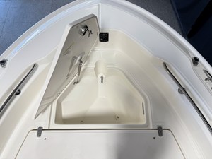 2026 Boston Whaler 250 Dauntless 102