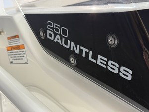2026 Boston Whaler 250 Dauntless 106