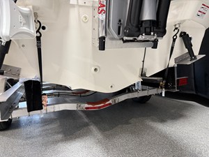 2026 Boston Whaler 250 Dauntless 119