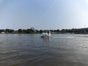 Sea Ray SLX 310 Outboard 7 2027 Sea Ray SLX 310 Outboard 8