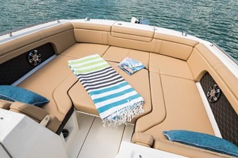 2027 Sea Ray SDX 290 Outboard 17