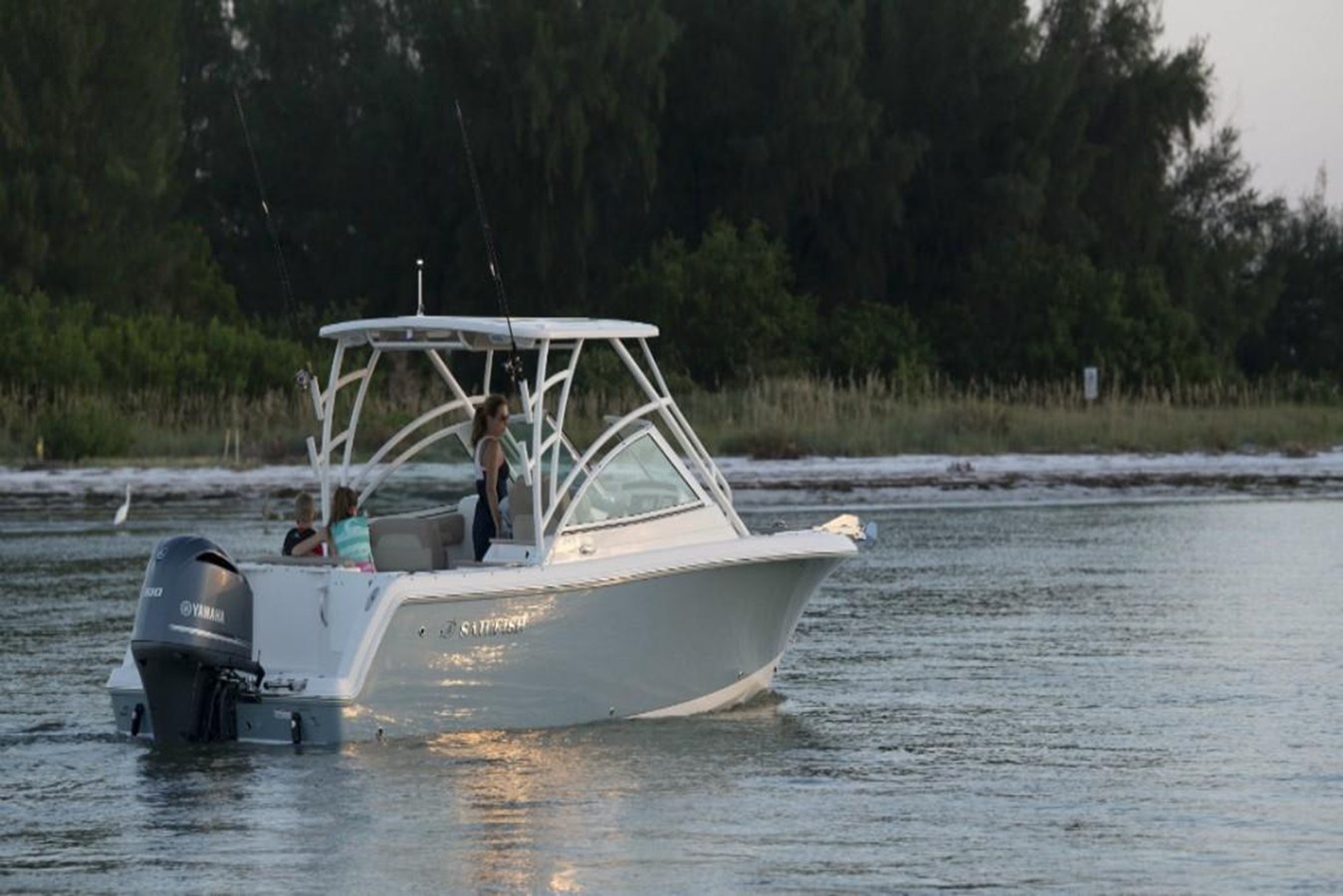 2023 Sailfish 245 DC 5