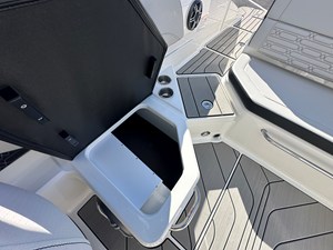 2026 Sea Ray SPX 210 Outboard 19