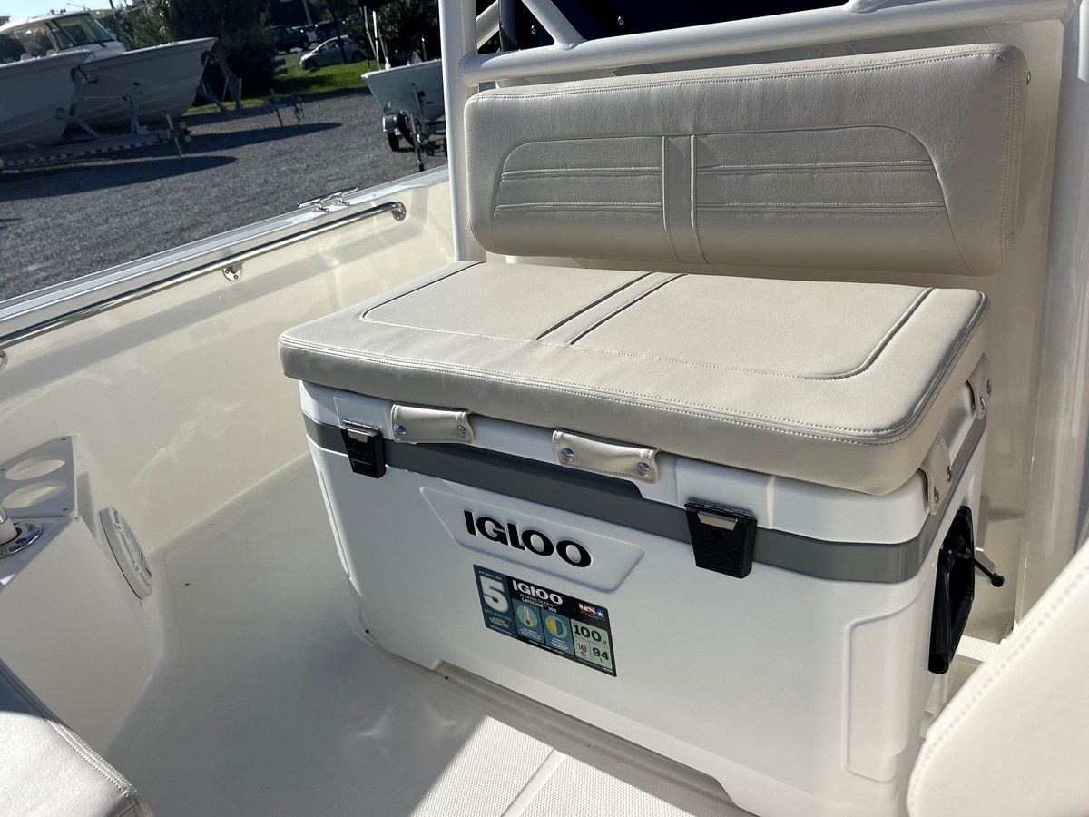 2027 Boston Whaler 210 Montauk 22