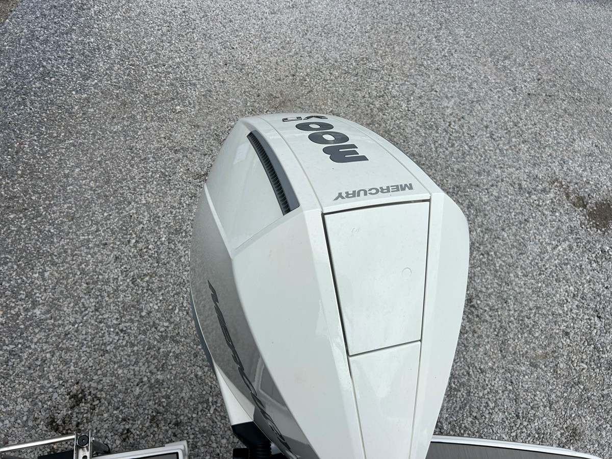 2026 Sea Ray SDX 250 Outboard 8