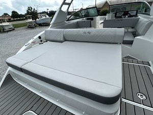 2026 Sea Ray SDX 250 Outboard 9