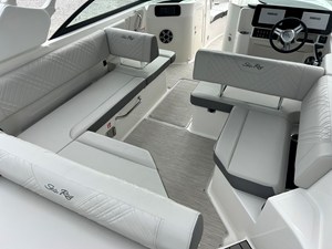 2026 Sea Ray SDX 250 Outboard 10