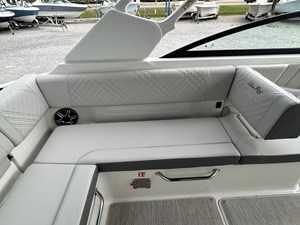 2026 Sea Ray SDX 250 Outboard 13