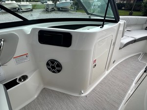 2026 Sea Ray SDX 250 Outboard 18